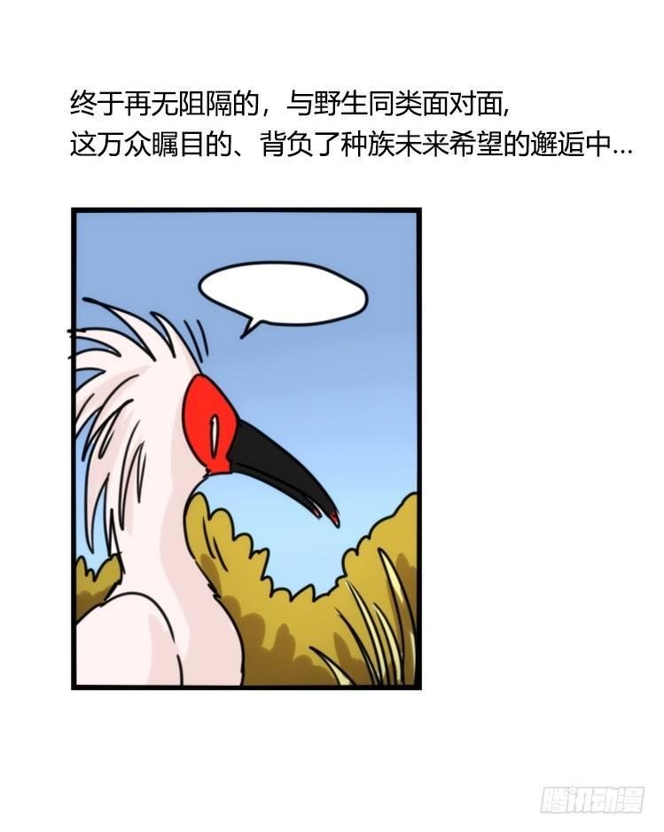 使命篇22：重振绯羽④