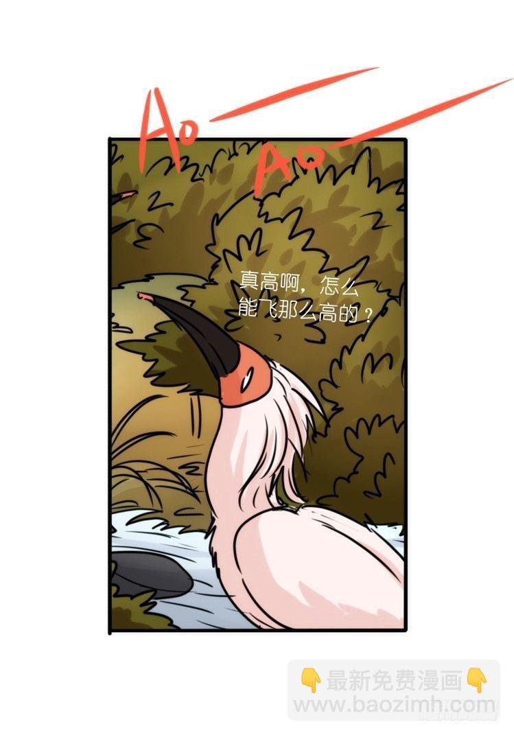 使命篇22：重振绯羽④