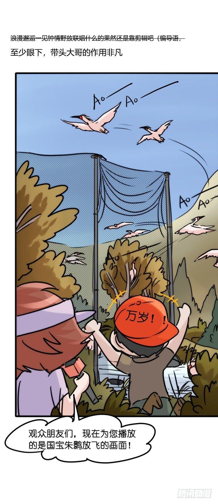 使命篇22：重振绯羽④