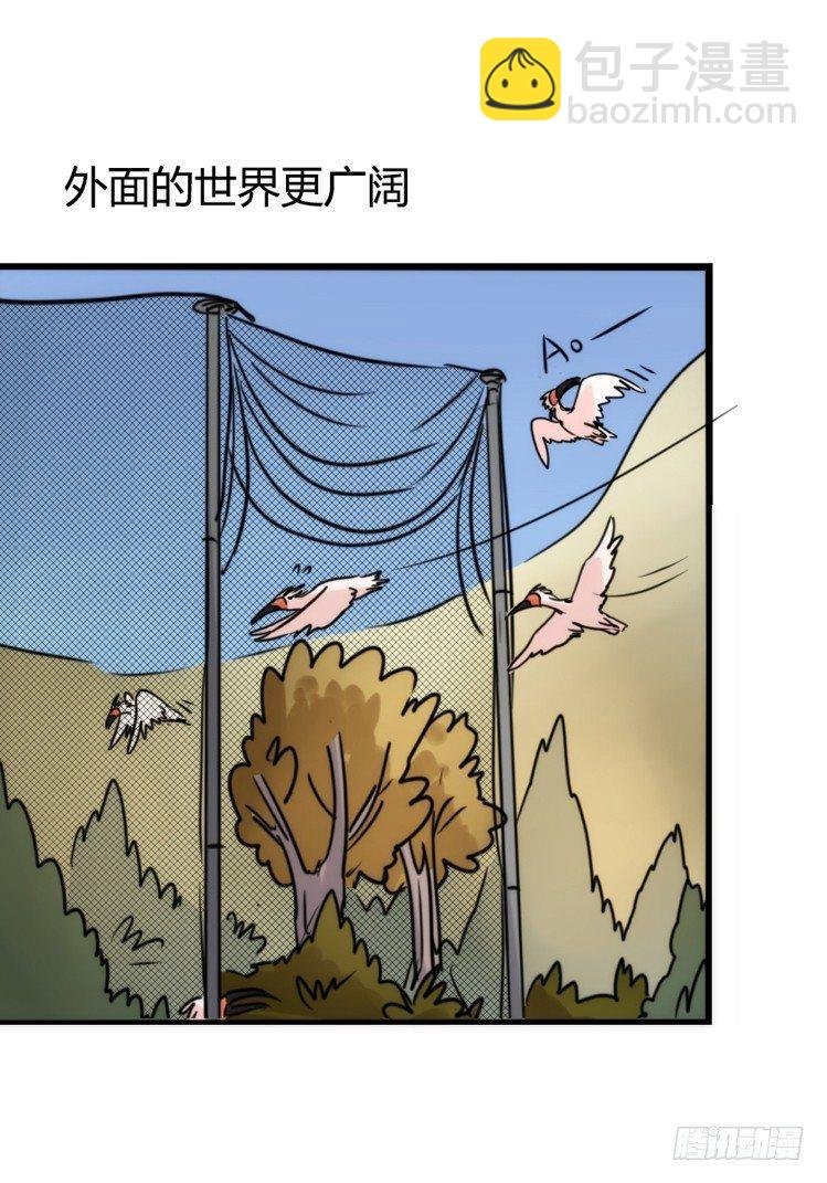 使命篇22：重振绯羽④