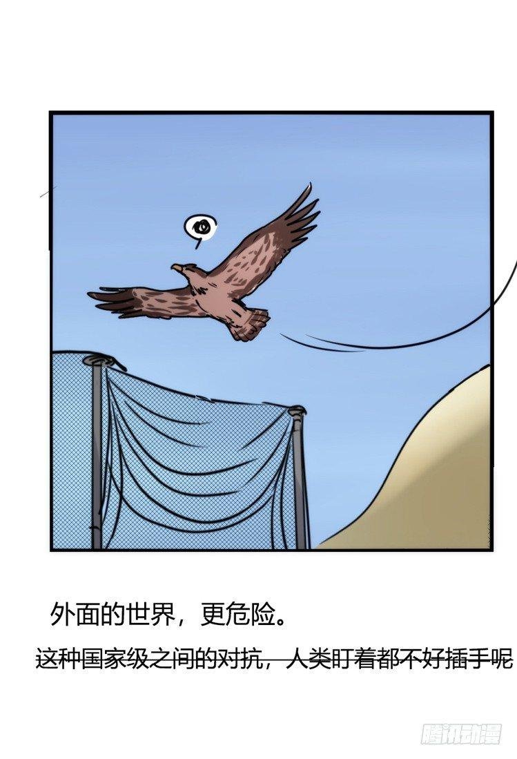 使命篇22：重振绯羽④