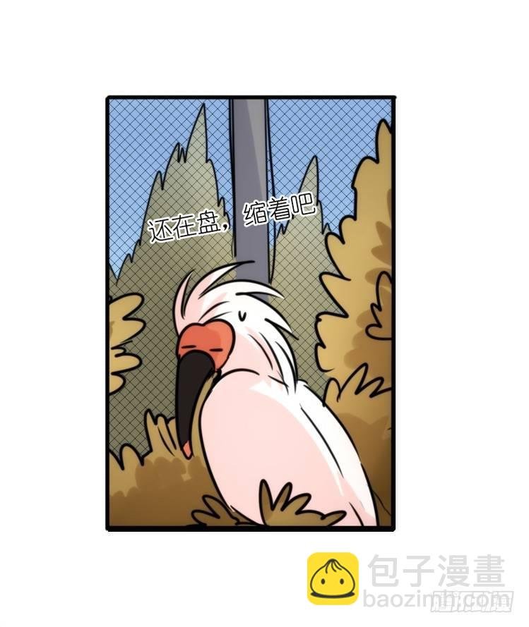 使命篇22：重振绯羽④