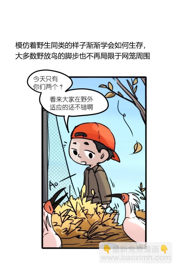 使命篇22：重振绯羽④