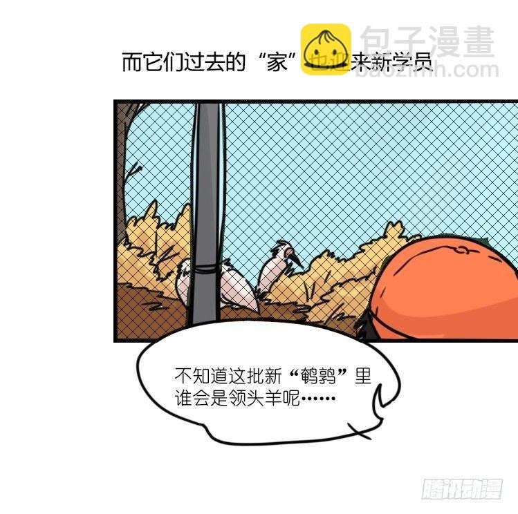 使命篇22：重振绯羽④