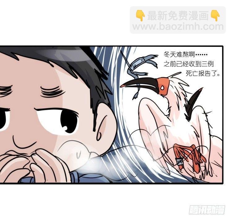 使命篇22：重振绯羽④