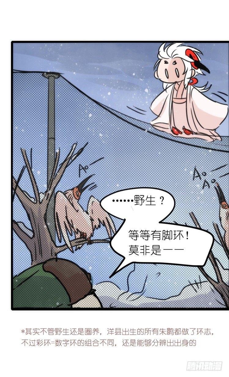 使命篇22：重振绯羽④