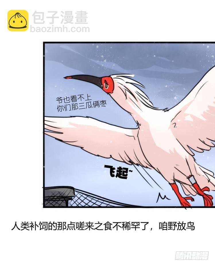 使命篇22：重振绯羽④