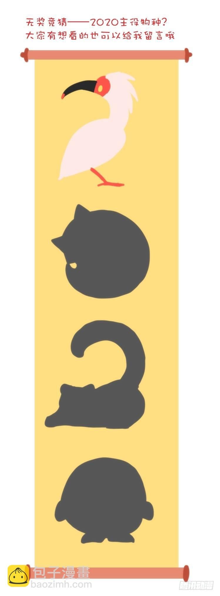 使命篇22：重振绯羽④