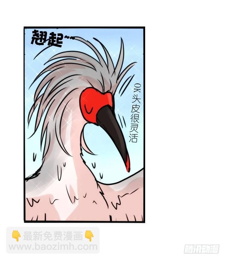 使命篇23：重振绯羽⑤