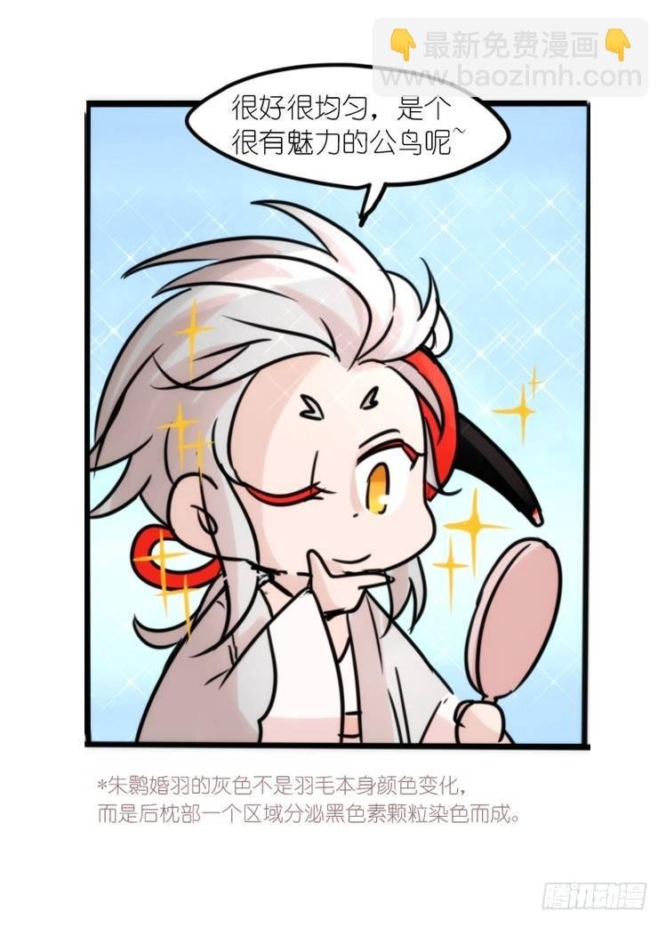 使命篇23：重振绯羽⑤