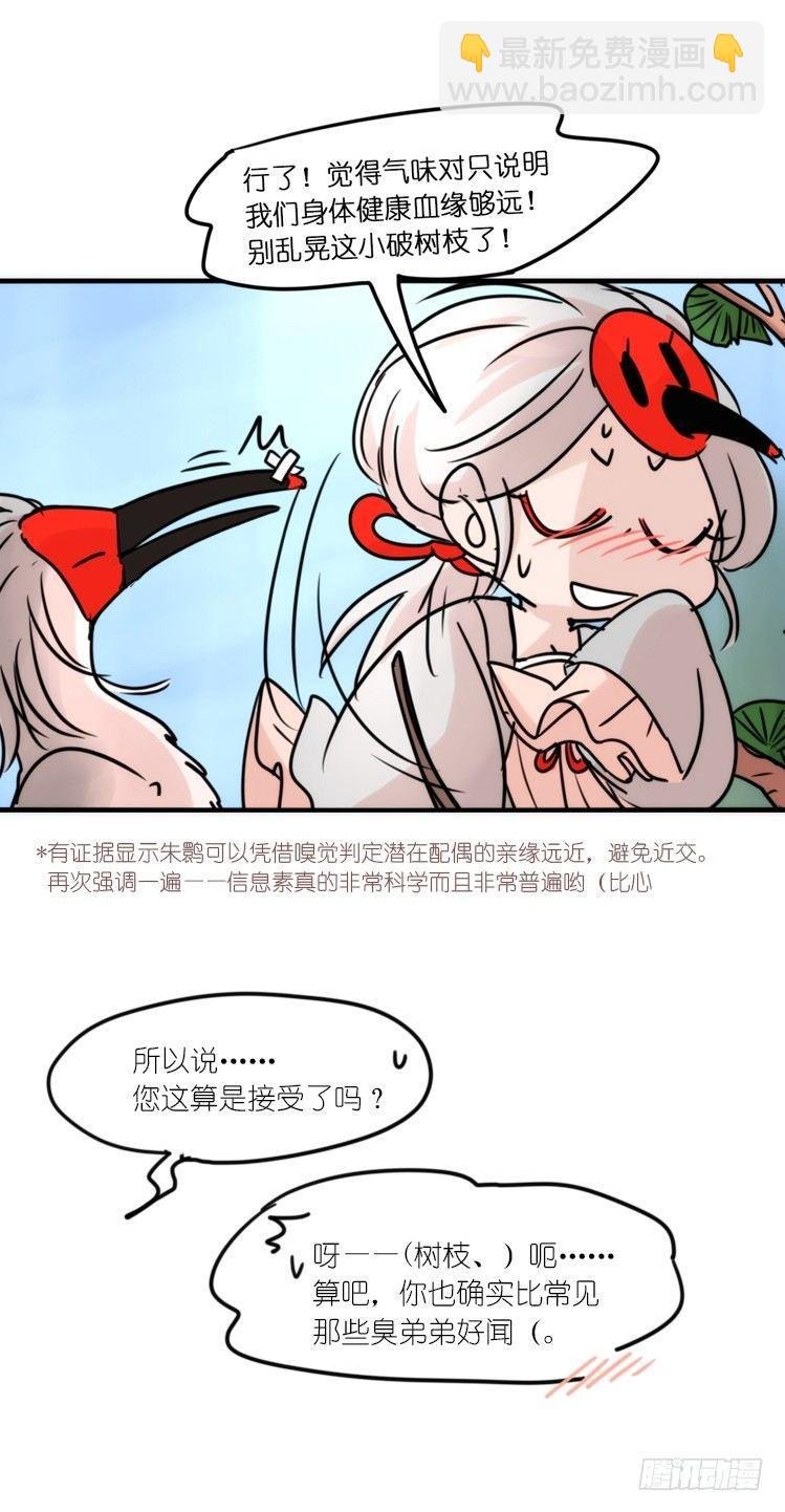 使命篇23：重振绯羽⑤