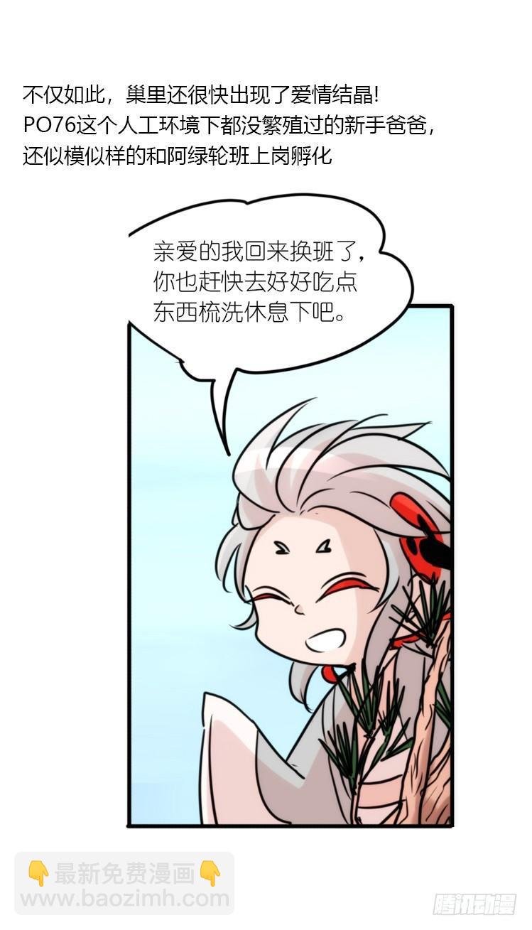 使命篇23：重振绯羽⑤
