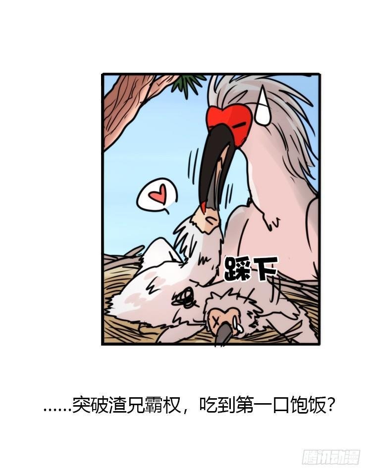 使命篇23：重振绯羽⑤