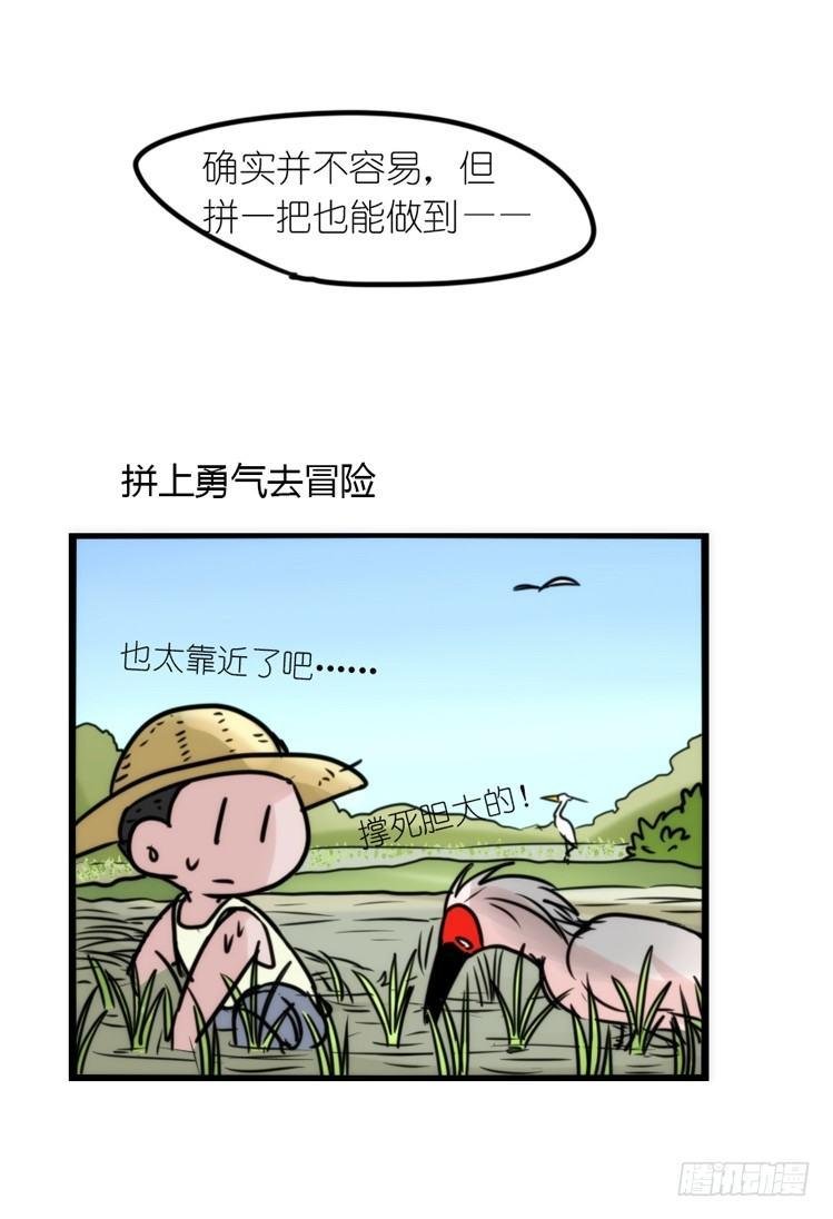 使命篇23：重振绯羽⑤