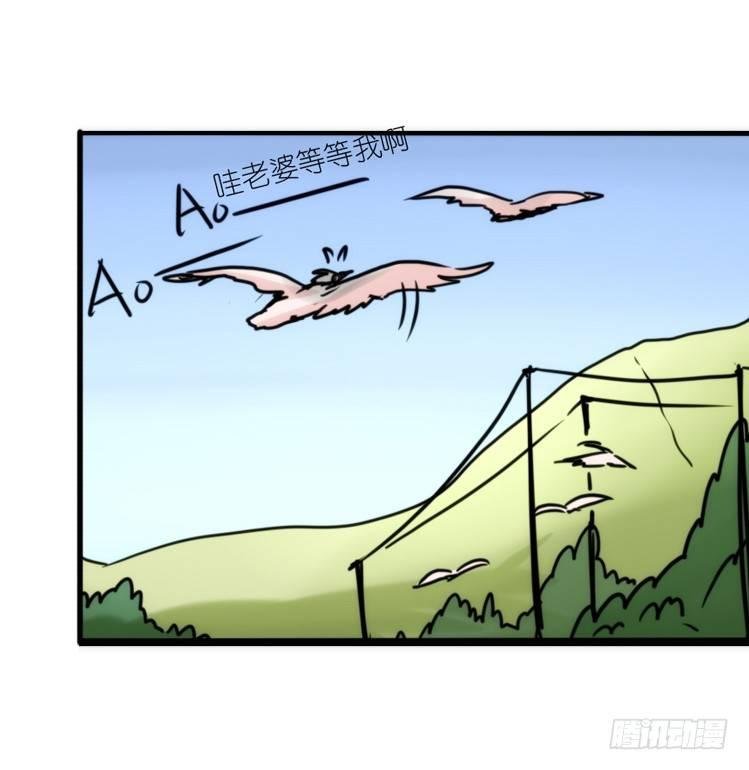 使命篇23：重振绯羽⑤