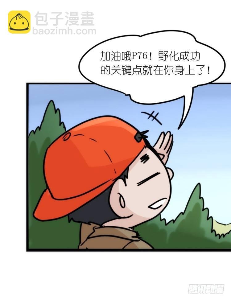 使命篇23：重振绯羽⑤