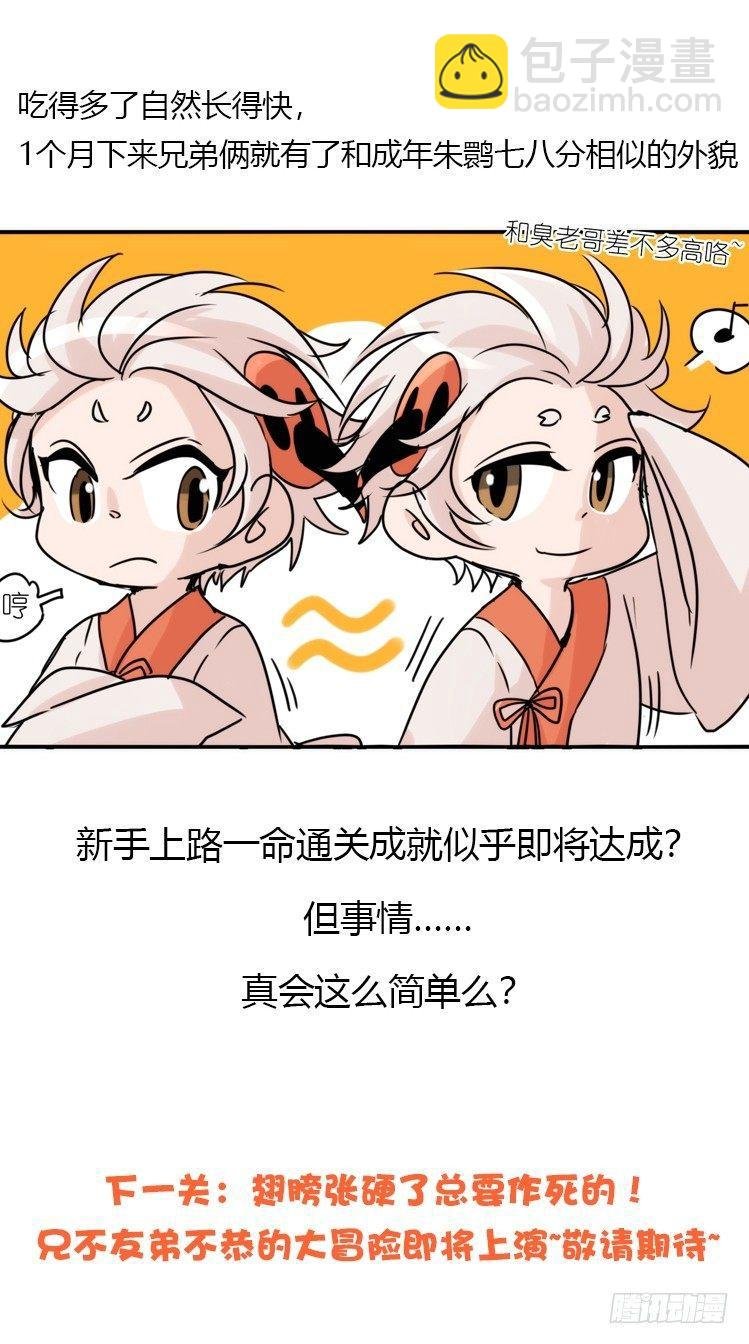 使命篇23：重振绯羽⑤