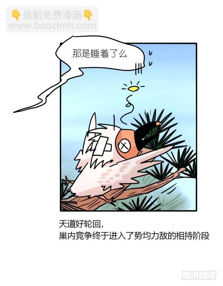 使命篇24：重振绯羽⑥
