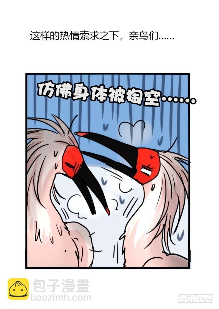 使命篇24：重振绯羽⑥