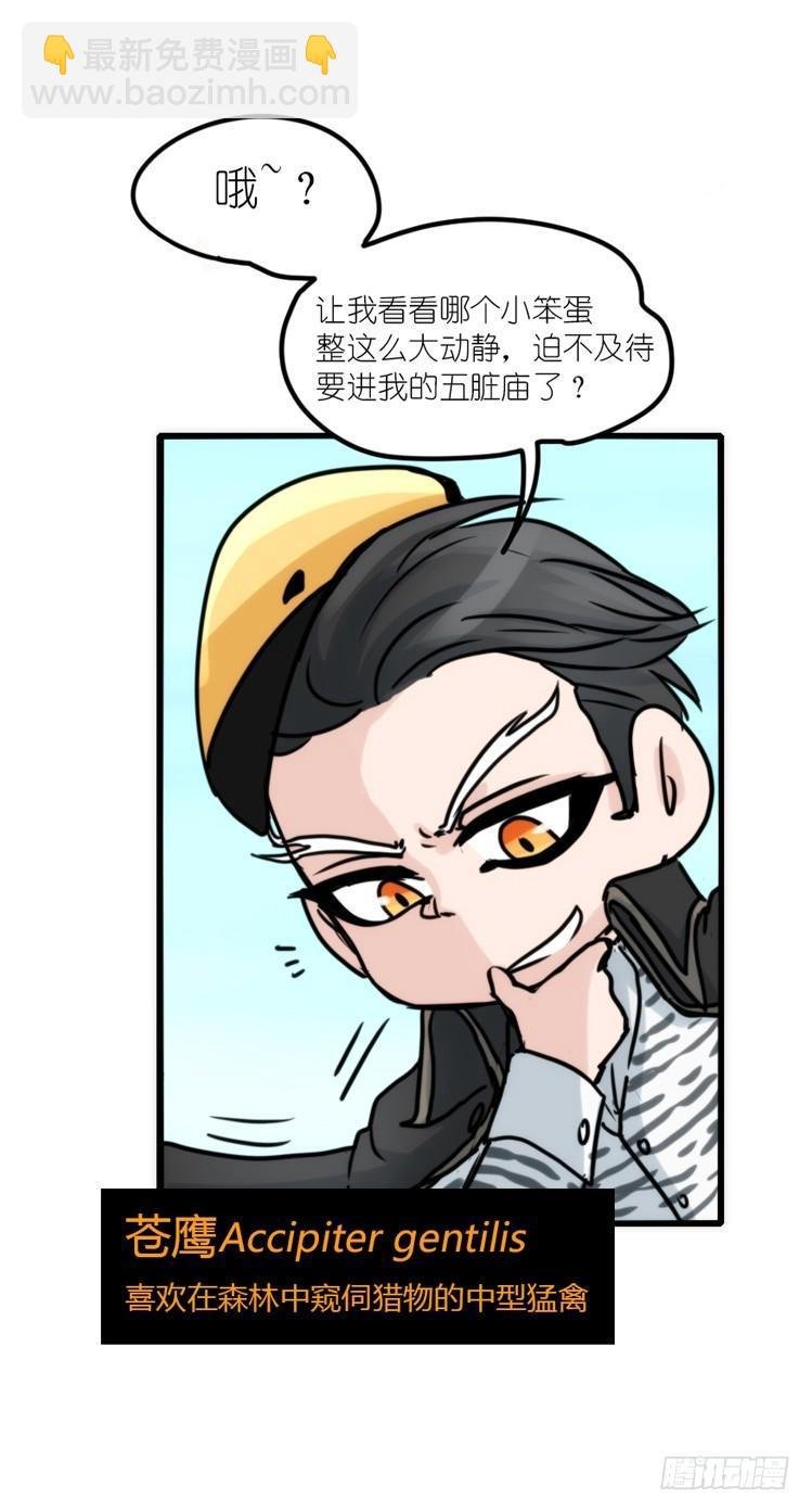 使命篇24：重振绯羽⑥
