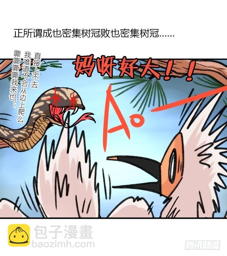 使命篇24：重振绯羽⑥
