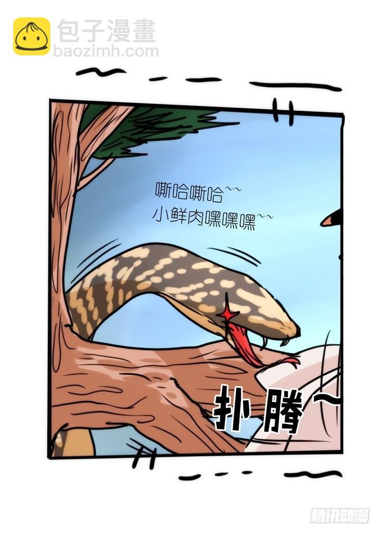 使命篇24：重振绯羽⑥