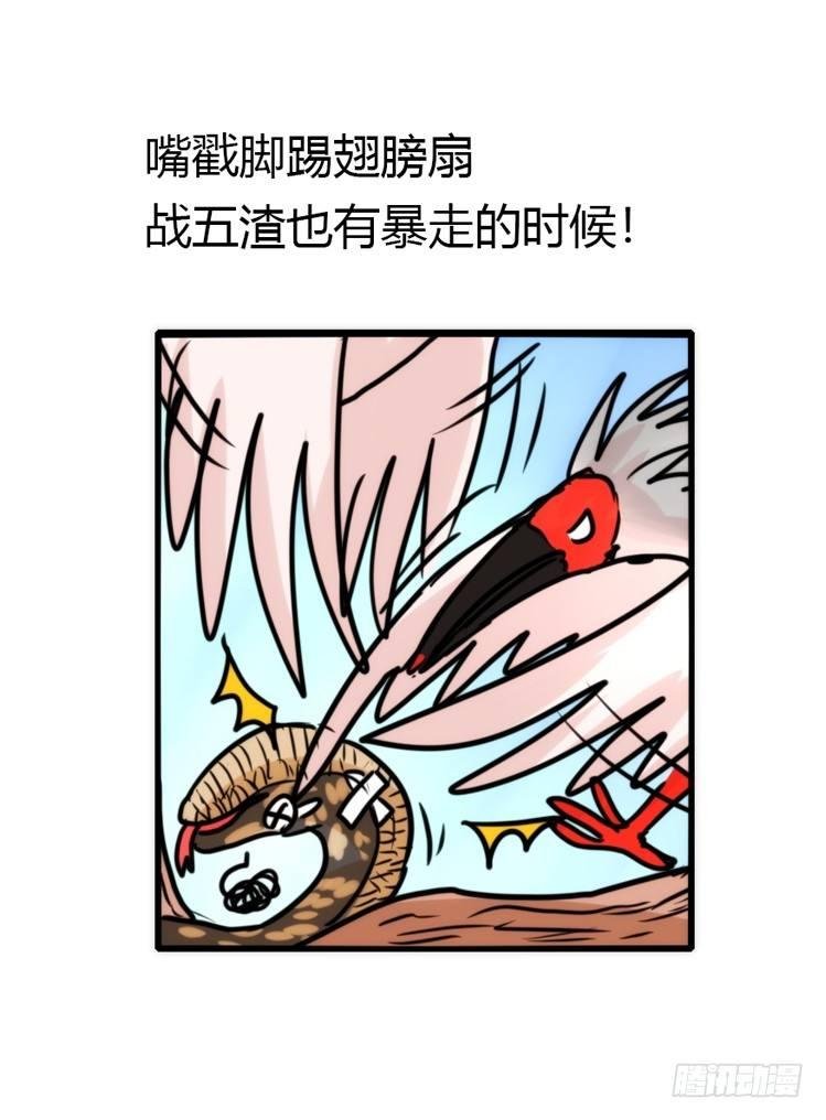 使命篇24：重振绯羽⑥