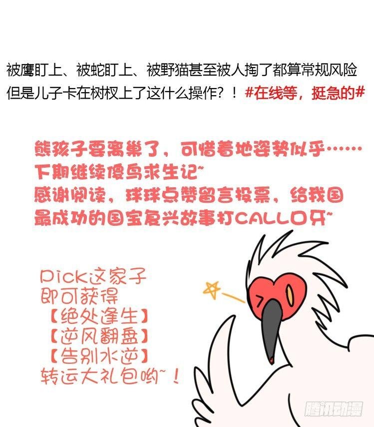 使命篇24：重振绯羽⑥