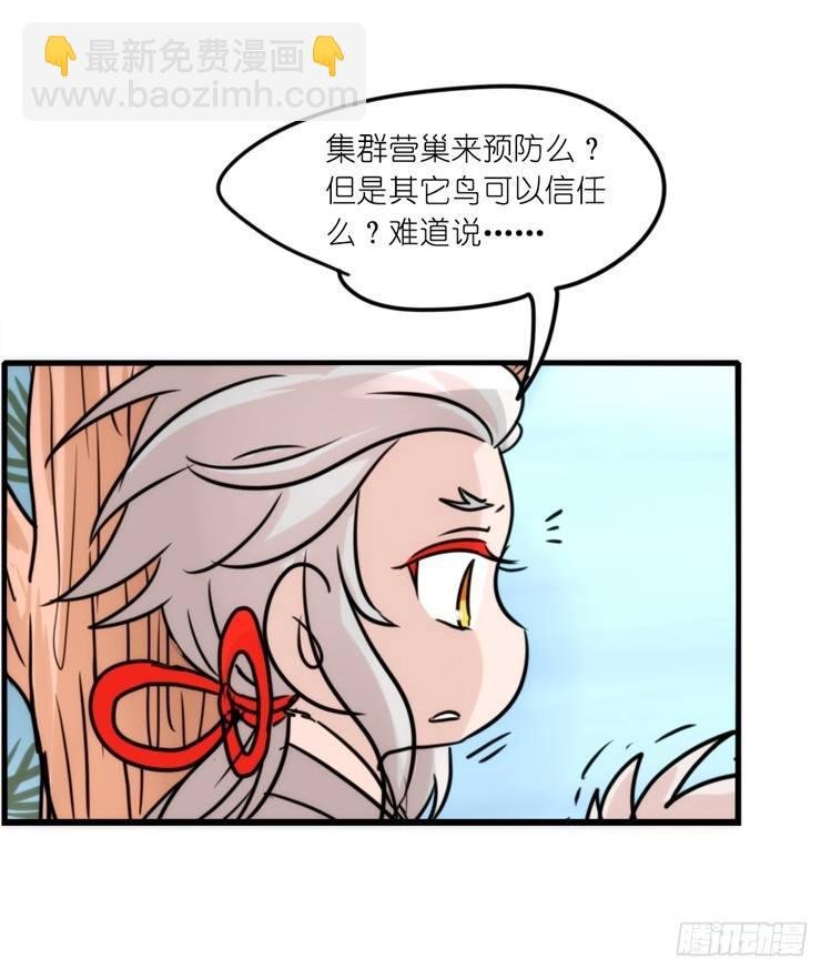 使命篇25：重振绯羽⑦