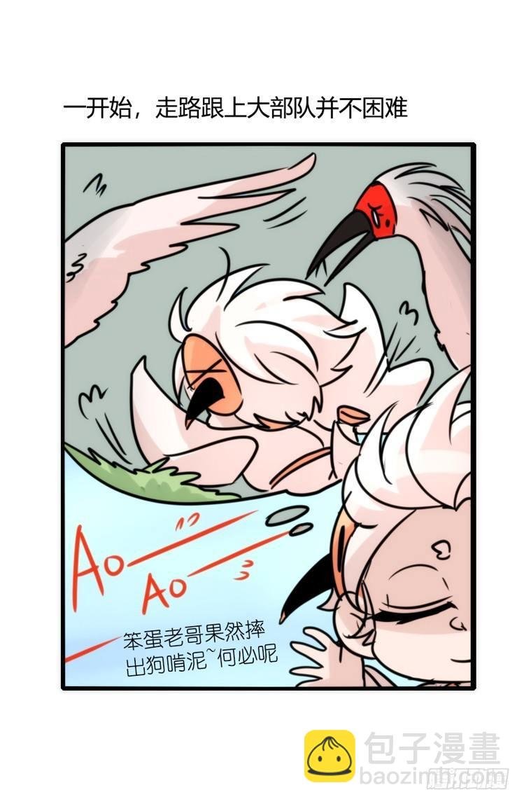 使命篇25：重振绯羽⑦