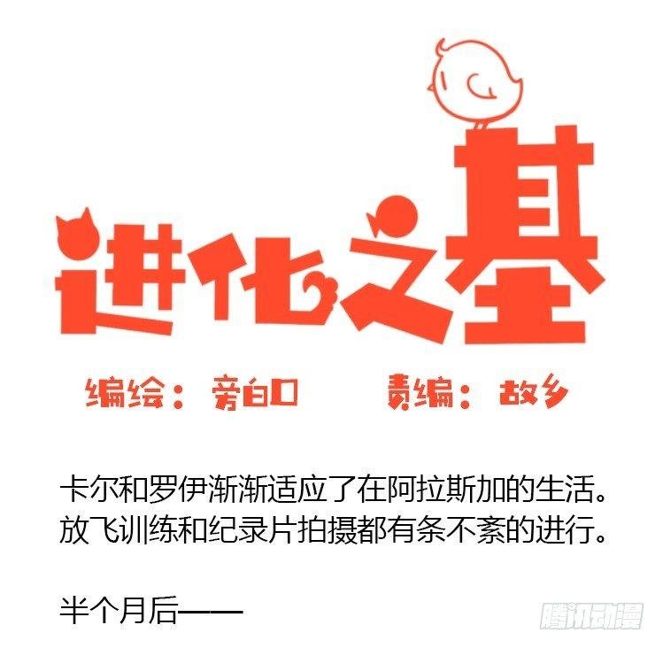 飞吧小少爷：去兜风么？