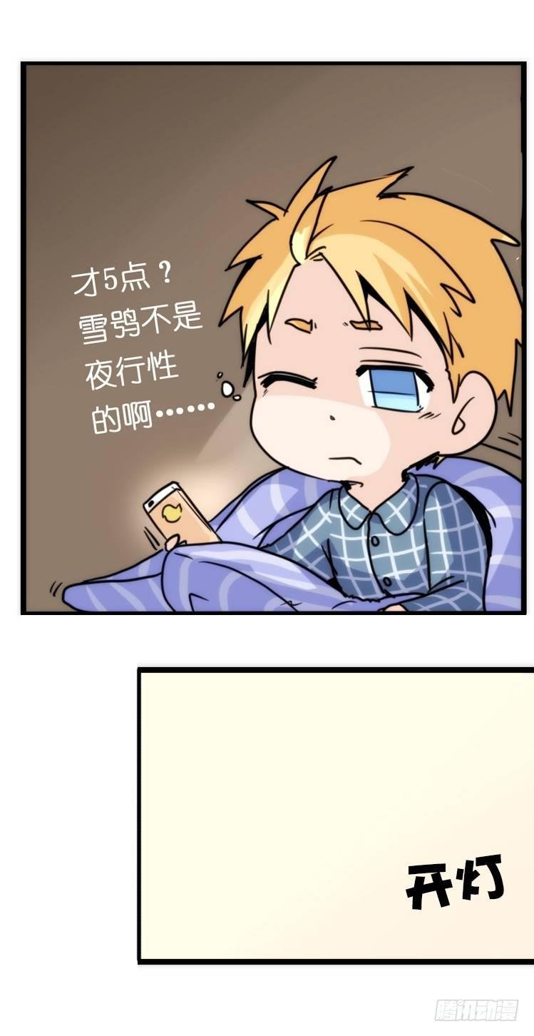 飞吧小少爷：去兜风么？