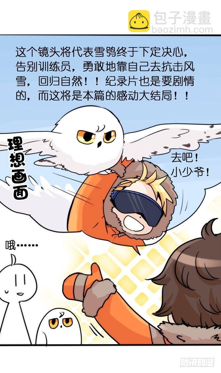 飞吧小少爷：去兜风么？