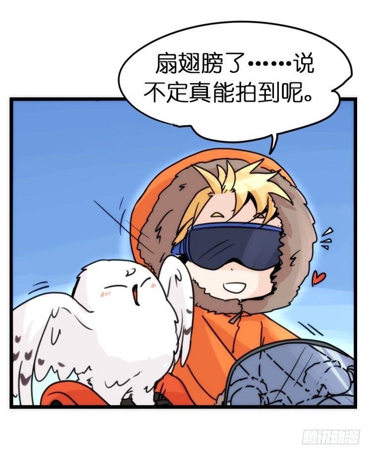飞吧小少爷：去兜风么？