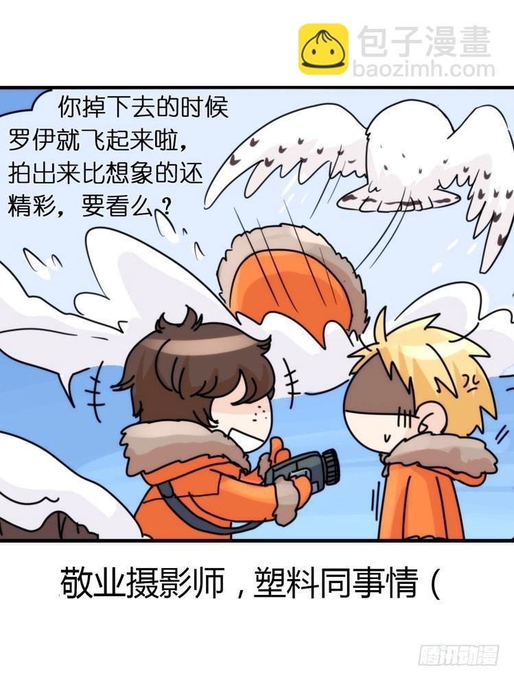 飞吧小少爷：去兜风么？