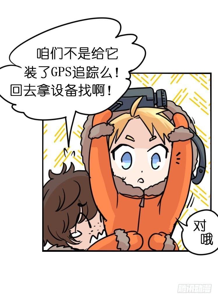 飞吧小少爷：去兜风么？