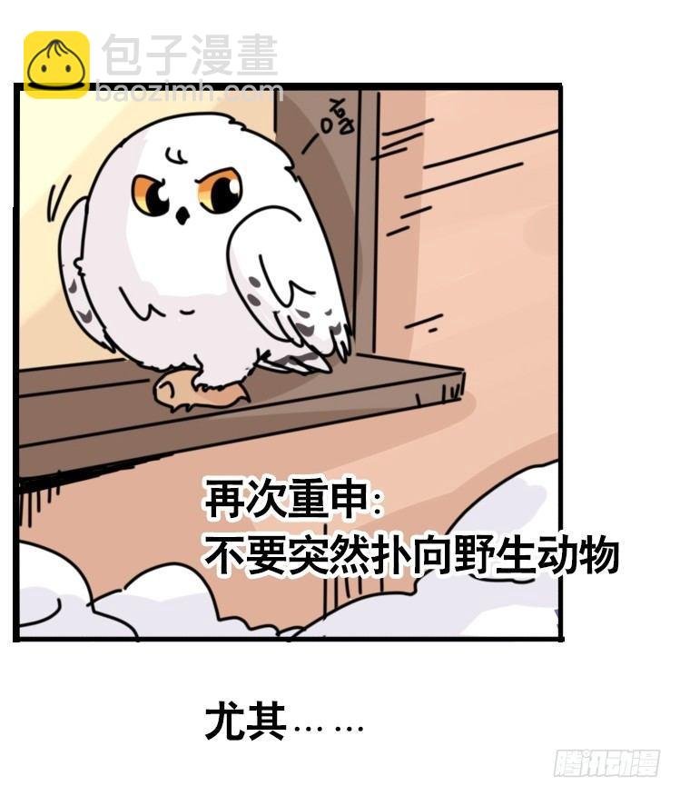 飞吧小少爷：去兜风么？