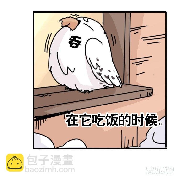 飞吧小少爷：去兜风么？