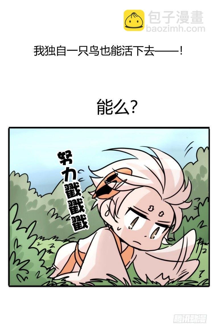 使命篇26：重振绯羽⑧鸟团圆