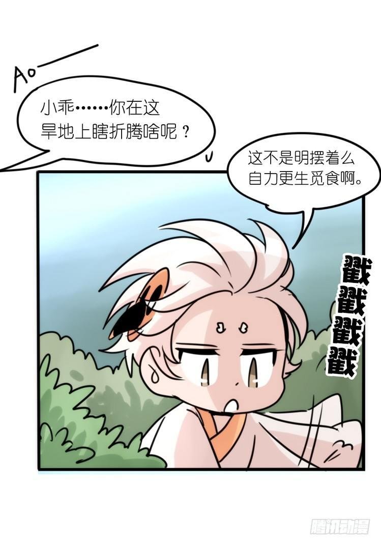 使命篇26：重振绯羽⑧鸟团圆