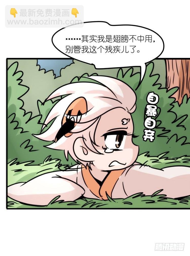 使命篇26：重振绯羽⑧鸟团圆