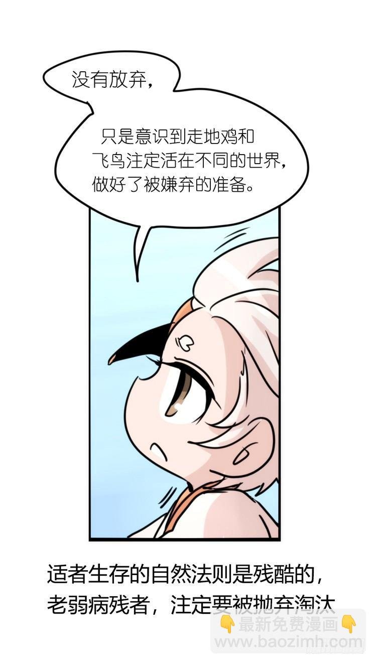 使命篇26：重振绯羽⑧鸟团圆