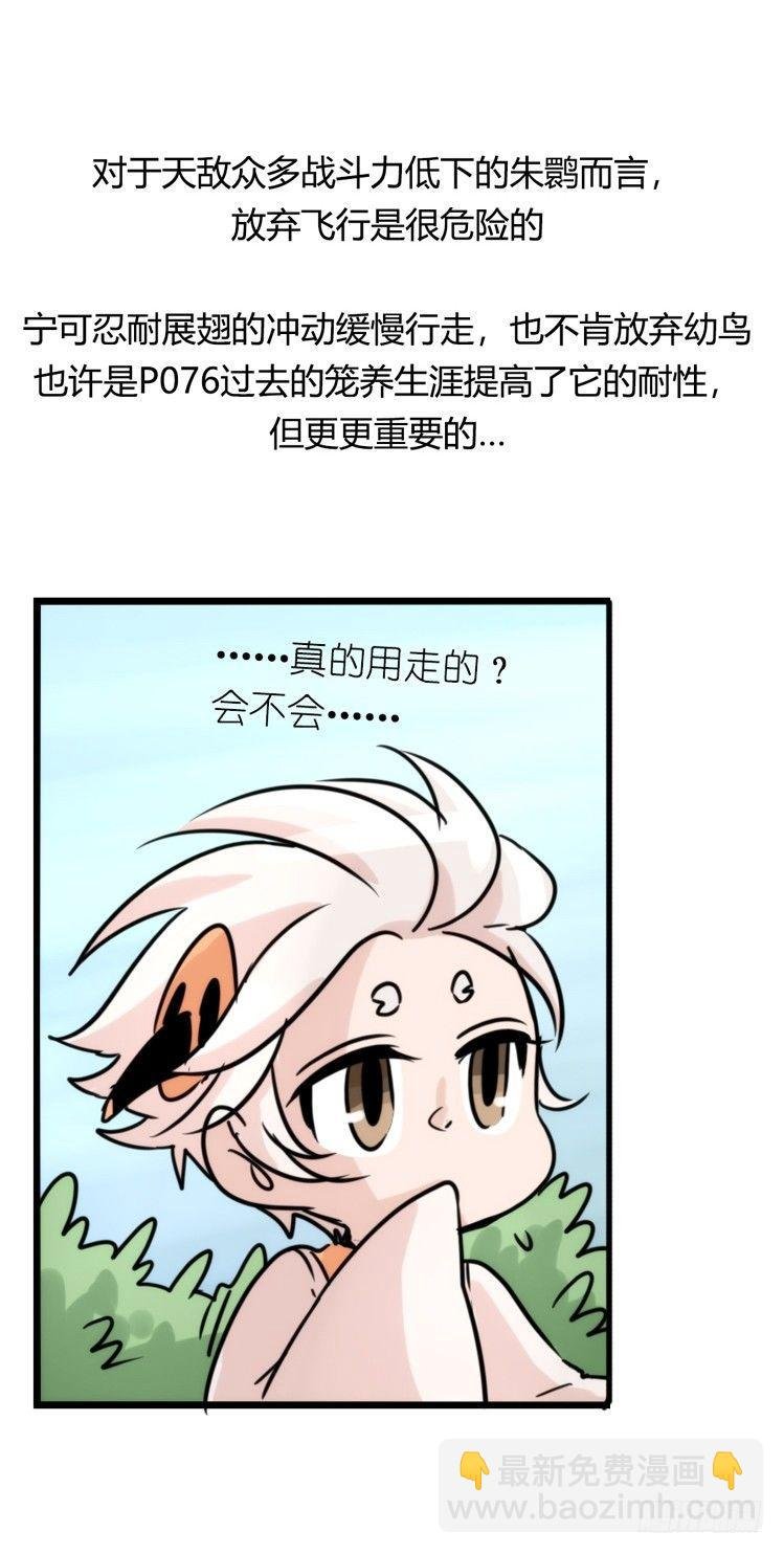 使命篇26：重振绯羽⑧鸟团圆