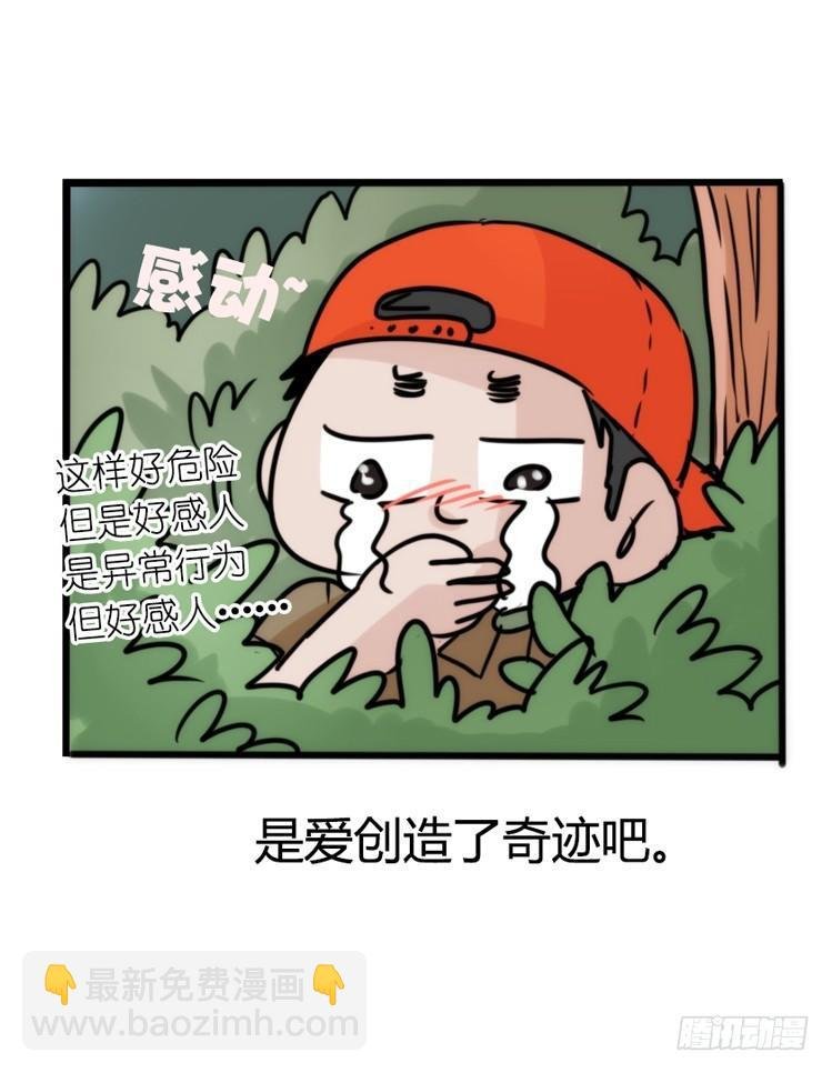 使命篇26：重振绯羽⑧鸟团圆