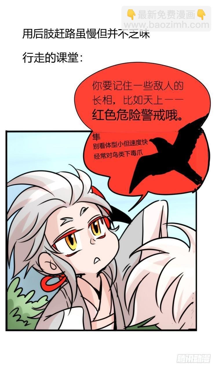 使命篇26：重振绯羽⑧鸟团圆