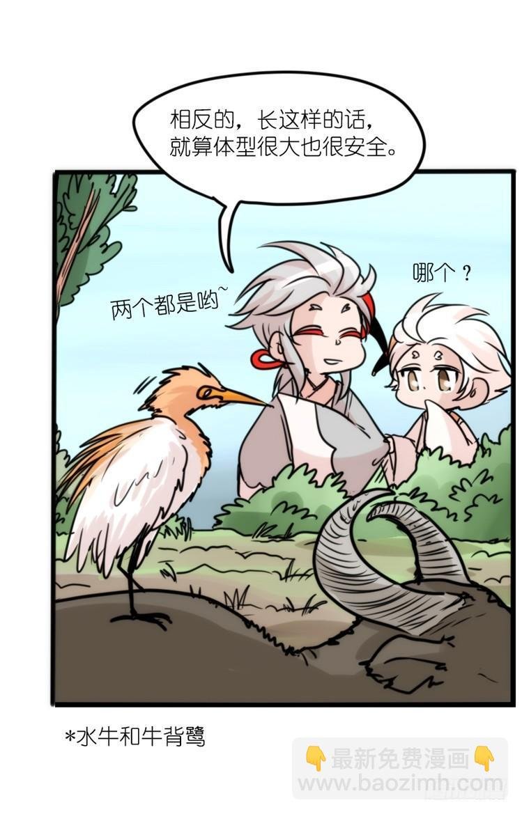 使命篇26：重振绯羽⑧鸟团圆