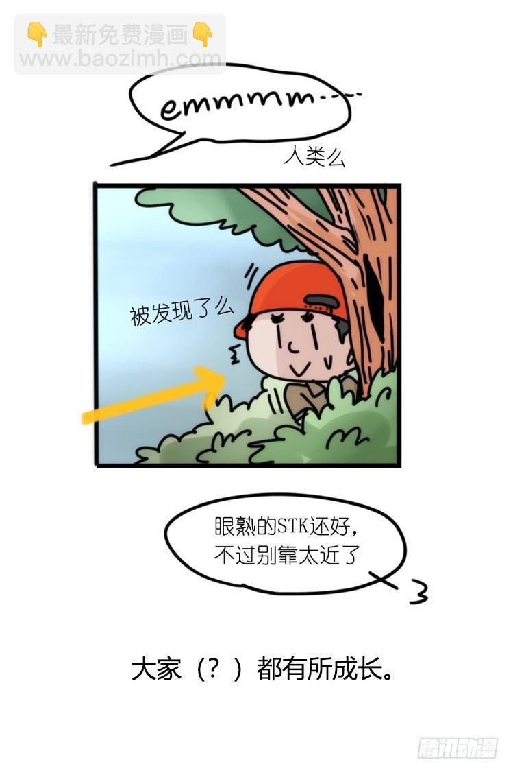 使命篇26：重振绯羽⑧鸟团圆