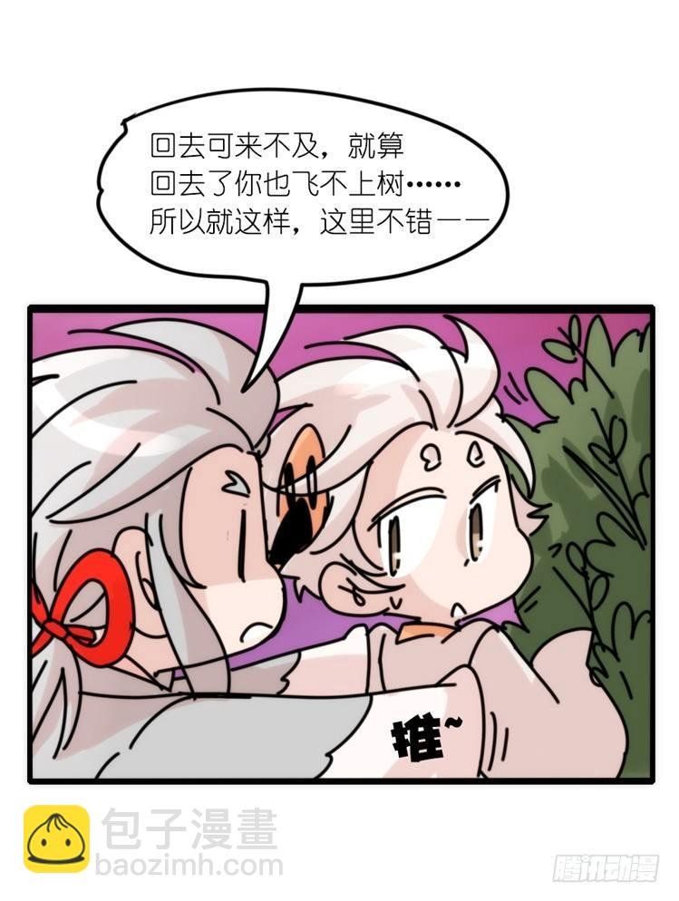 使命篇26：重振绯羽⑧鸟团圆