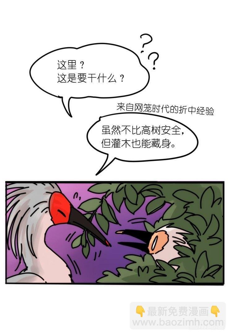 使命篇26：重振绯羽⑧鸟团圆