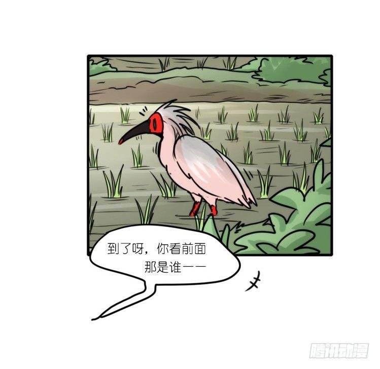 使命篇27-重振绯羽⑨